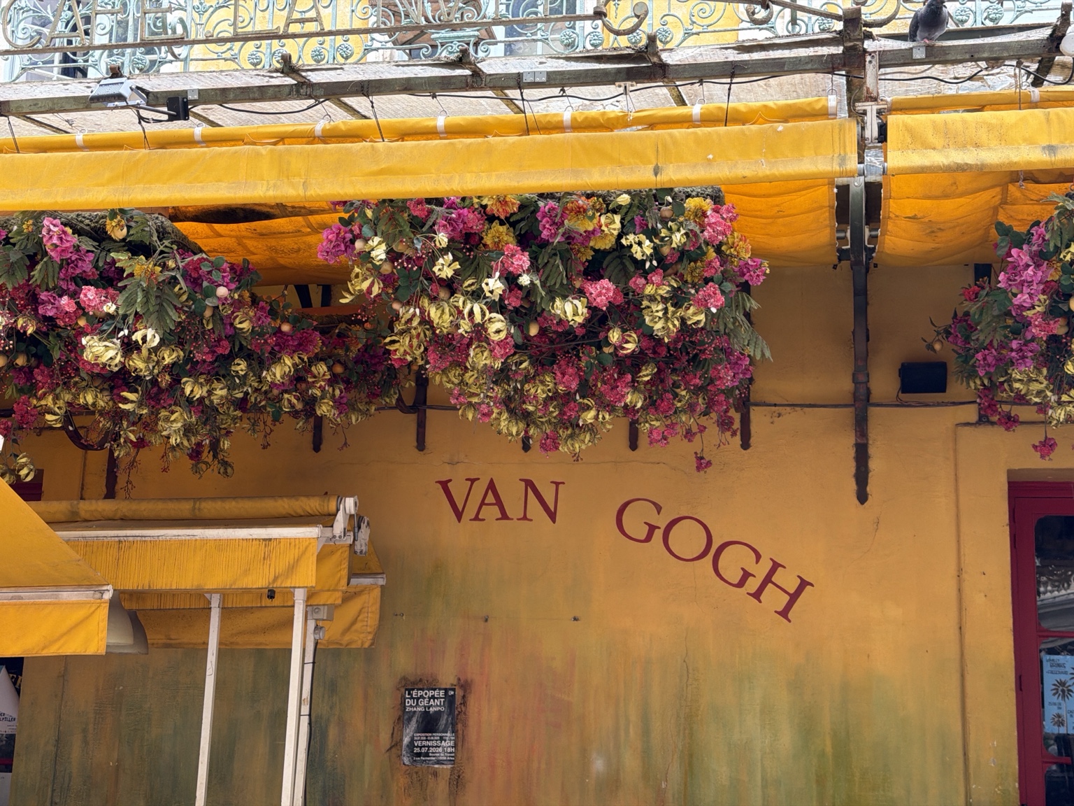 Bloemen boven het terras